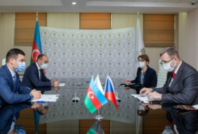 بحث التعاون في مجال المشاريع الصغيرة والمتوسطة بين أذربيجان والتشيك