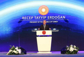 أردوغان: تركيا أصبحت دولة تساهم في تحديد أسعار الطاقة عالميًا