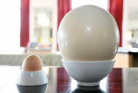 بالصور... بيضة تحقق أكثر من 24 مليون إشارة إعجاب