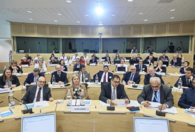   عقد اجتماع خاص للمحكمة الأوروبية لحقوق الإنسان -   صور    