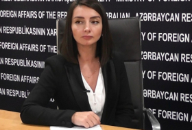   موقف أذربيجان إزاء قضية جمو وكشمير ثابت  