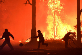 بسبب أزمة حرائق الغابات... أستراليون يطالبون رئيس الوزراء بالاستقالة