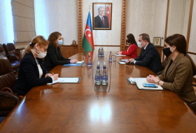   الوزير يلتقي برئيس مكتب اللجنة الدولية في أذربيجان  