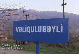   لقطات من قرية فاليقولوبيلي في زنجيلان -   فيديو    