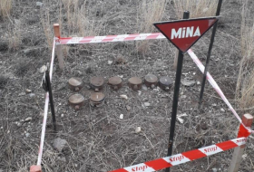   الوكالة الوطنية لمكافحة الألغام في جمهورية أذربيجان عثرت على أكثر من 6000 لغم  