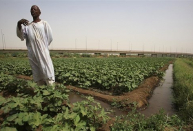 400 مليون دولار من الإمارات والسعودية لدعم الزراعة في السودان