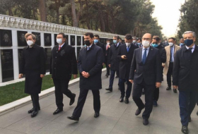  وفد المجلس التركي يزور حارة الشرف والشهداء 