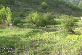   لقطات من قرية قاسيمبيناسي في منطقة كالبجار -   فيديو    