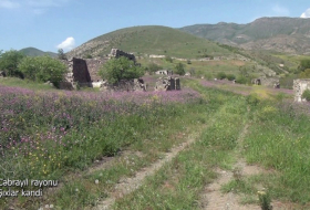 قرية شيخلار في جبرائيل - فيديو