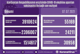  الكشف عن عدد الأشخاص الذين تم تطعيمهم ضد فيروس كورونا في أذربيجان -  صور  