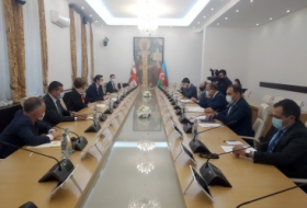   مناقشة آفاق تنمية العلاقات البرلمانية بين أذربيجان وجورجيا  