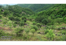    قرية جوناشلي في منطقة كالبجار -   فيديو    