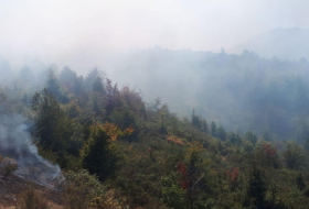   اندلاع حريق في منطقة جبلية في توفوز  