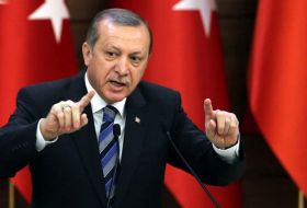 أردوغان: روسيا تدعم عملية إدلب جواً وتركيا براً