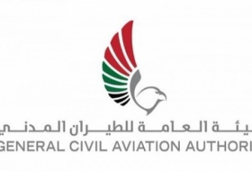 الإمارات: لدينا أدلة وبراهين ضد قطر لتقديمها لمنظمة الطيران الدولي
