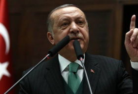 أردوغان: أوقفنا انتشار القوات الحكومية السورية في عفرين من خلال اتصالاتنا
