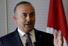 وزير خارجة تركيا يزور إيران اليوم لبحث الوضع في سوريا