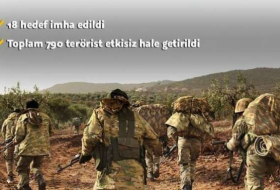 الجيش التركي: تحييد 790 إرهابيًا منذ انطلاق 