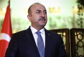 وزير الخارجية التركي يزور ألمانيا للمرة الثالثة في غضون شهرين