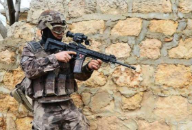 الجيش التركي: تحييد 2295 إرهابيًا منذ انطلاق غصن الزيتون