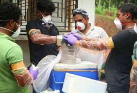 ارتفاع حصيلة قتلى فيروس نيباه في الهند