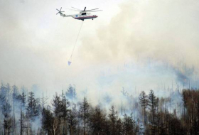 ارتفاع عدد قتلى حرائق غابات كاليفورنيا الأمريكية