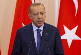 أردوغان يحث ألمانيا على إدراج حركة غولن ضمن المنظمات الإرهابية
