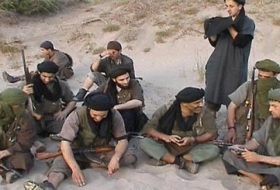 مالي: تنظيم القاعدة يتبنى الهجوم على القوات الدولية
    