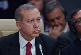 أردوغان: أغسطس شهر الانتصارات التركية ونأمل نصرا جديدا هذا الشهر