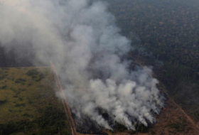 رئة العالم تحترق.. 2500 حريق جديد بالأمازون والسياسة على خط الأزمة -   فيديو  