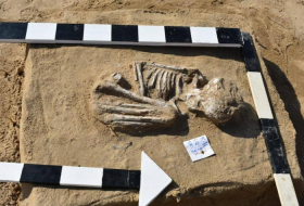 مصر.. الكشف عن مقبرة تعود للعصرين الروماني واليوناني