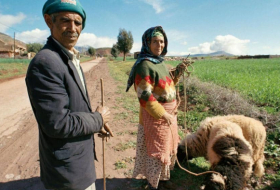 المغرب.. خطط ضخمة لتطوير القطاع الزراعي