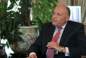 مصر تطالب بإعادة تشكيل المجلس الرئاسي في طرابلس