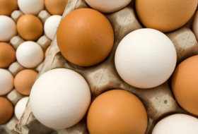 من أجل مصلحة الدجاج... المزارعون ينصحون باستهلاك البيض الأبيض وليس البني