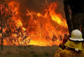 محكمة أسترالية ترفض توزيع التبرعات الضخمة لحرائق الغابات