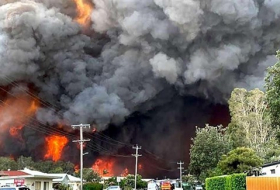 دخان حرائق الغابات في أستراليا قتل 445 شخصاً