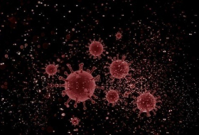 علماء يؤكدون: الهواء يحمل فيروس كورونا
