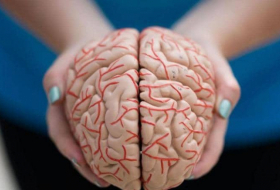 علماء يكشفون كيف يبني المخ الذاكرة الاستشعارية