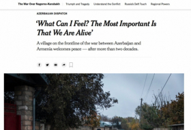  صحيفة نيويورك تايمز كتبت عن قرية جيراقلي بمنطقة أغدام 
