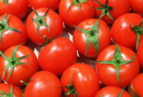   روسيا تسمح باستيراد الطماطم من شركة 