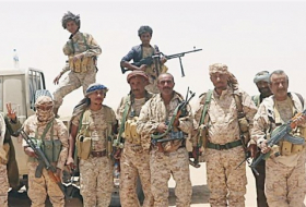 الجيش اليمني يعلن تحرير سلسلة جبلية شرقي البلاد