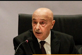 رئيس البرلمان الليبي ينفى إرساله مبعوثا لتركيا: لا نتلقى أوامر من أحد