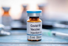   قرار مجلس الوزراء حول استيراد اللقاحات   