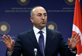    الوزير التركي يتعهد ببدء إجراءات نقل جثمان الأذربيجاني فورا إلى بلاده   