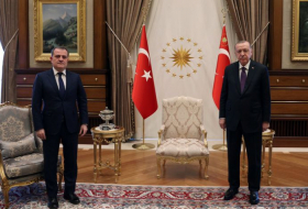    أردوغان يلتقي بجيهون بيراموف  
