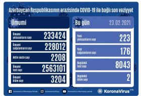     أذربيجان:   تسجيل 223 حالة جديدة للاصابة بفيروس كورونا المستجد    