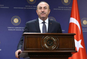   جاويش أوغلو يناقش اقتراح أذربيجان مع الوزير الجورجي  