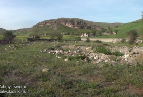 قرية شهفالدلي في جبرائيل - فيديو
