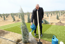    الرئيس يزرع شجرة في حديقة غابات مدينة أغدام  