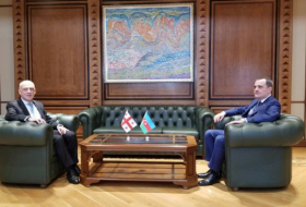   وزيرا خارجية أذربيجان وجورجيا يجتمعان  